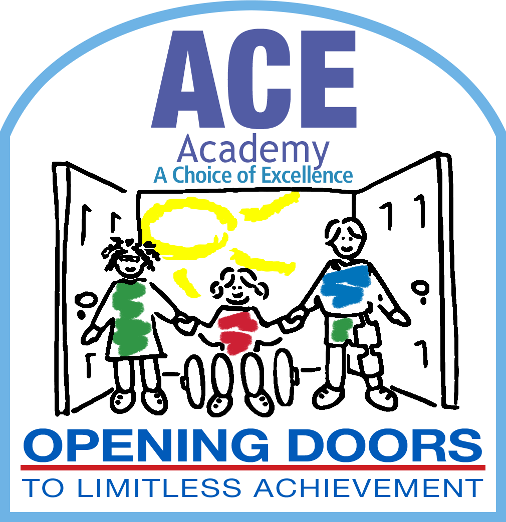Ace Academy School